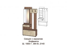 Секция с зеркалом в Трёхгорном - tryohgornyj.magazinmebel.ru | фото