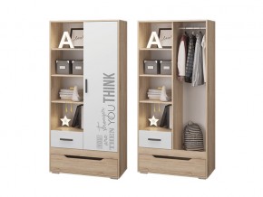 Шкаф для одежды с 2 ящиками в Трёхгорном - tryohgornyj.magazinmebel.ru | фото