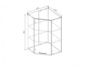 ВУ9 Модуль верхний Угловой МВУ9 в Трёхгорном - tryohgornyj.magazinmebel.ru | фото