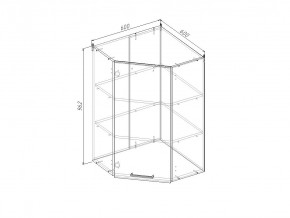 ВУП960 Модуль верхний Угловой МВУ9 в Трёхгорном - tryohgornyj.magazinmebel.ru | фото